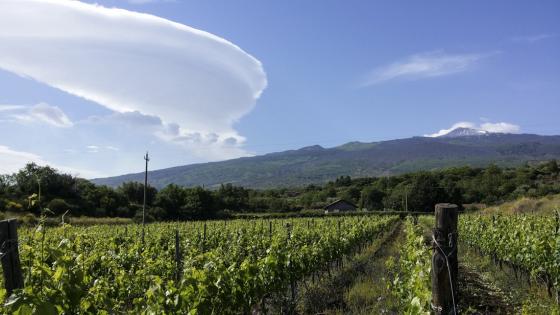 On Mount Etna